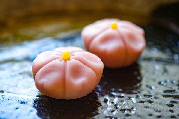 Ý nghĩa của wagashi