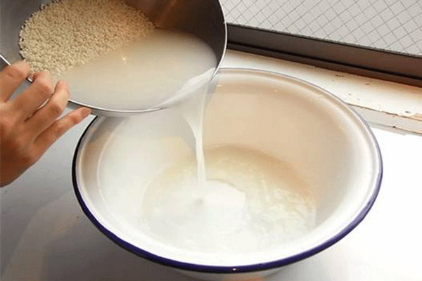 Khử mùi tanh của cá bằng nước vo gạo