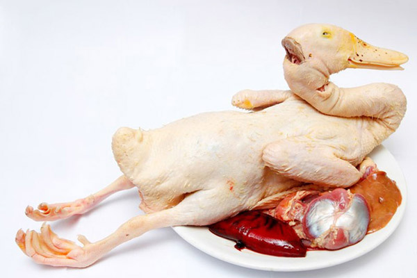Sơ chế vịt