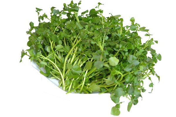 cải xoang dùng kèm cá chẽm xốt chua ngọt