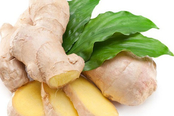 Gừng (Ginger)