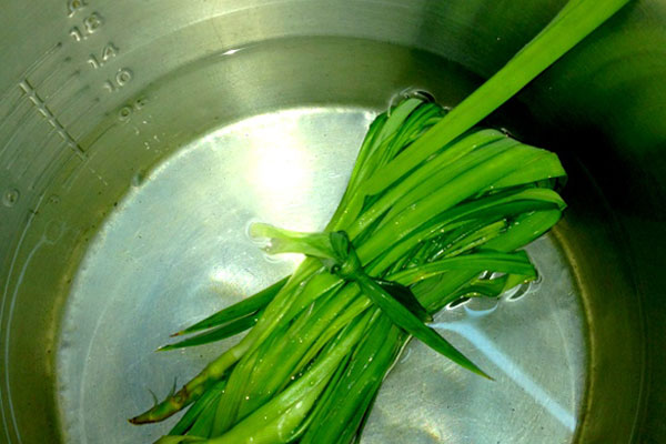 Lá dứa rữa sạch và cuộn lại