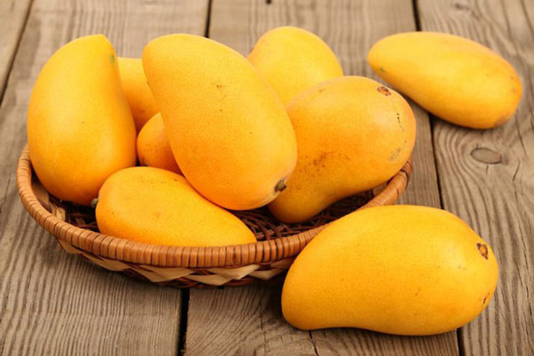 Chọn những quả xoài chín vàng