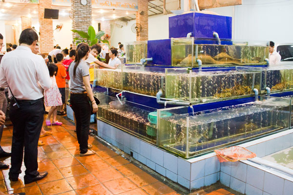 Mở quán nhậu hải sản