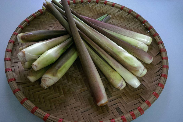 Củ niễng