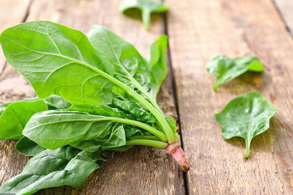 món ngon từ rau spinach